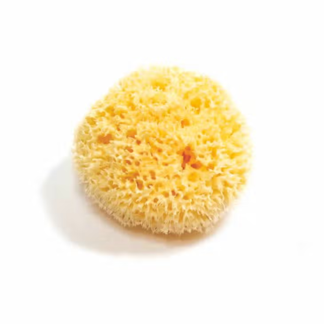 Natural Exfoliating Sea Bath Sponge