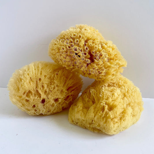 Natural Exfoliating Sea Bath Sponge